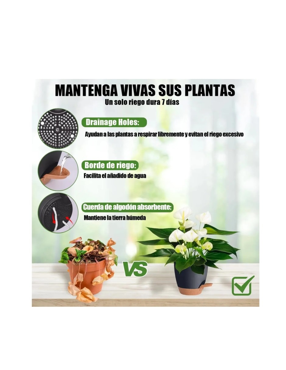 Maceta de Arcilla con sistema automático de riego 3