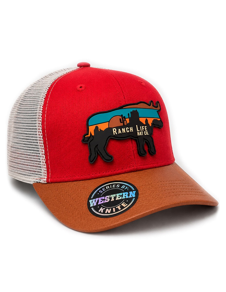 Gorra visera curva snapback casual para hombre 1