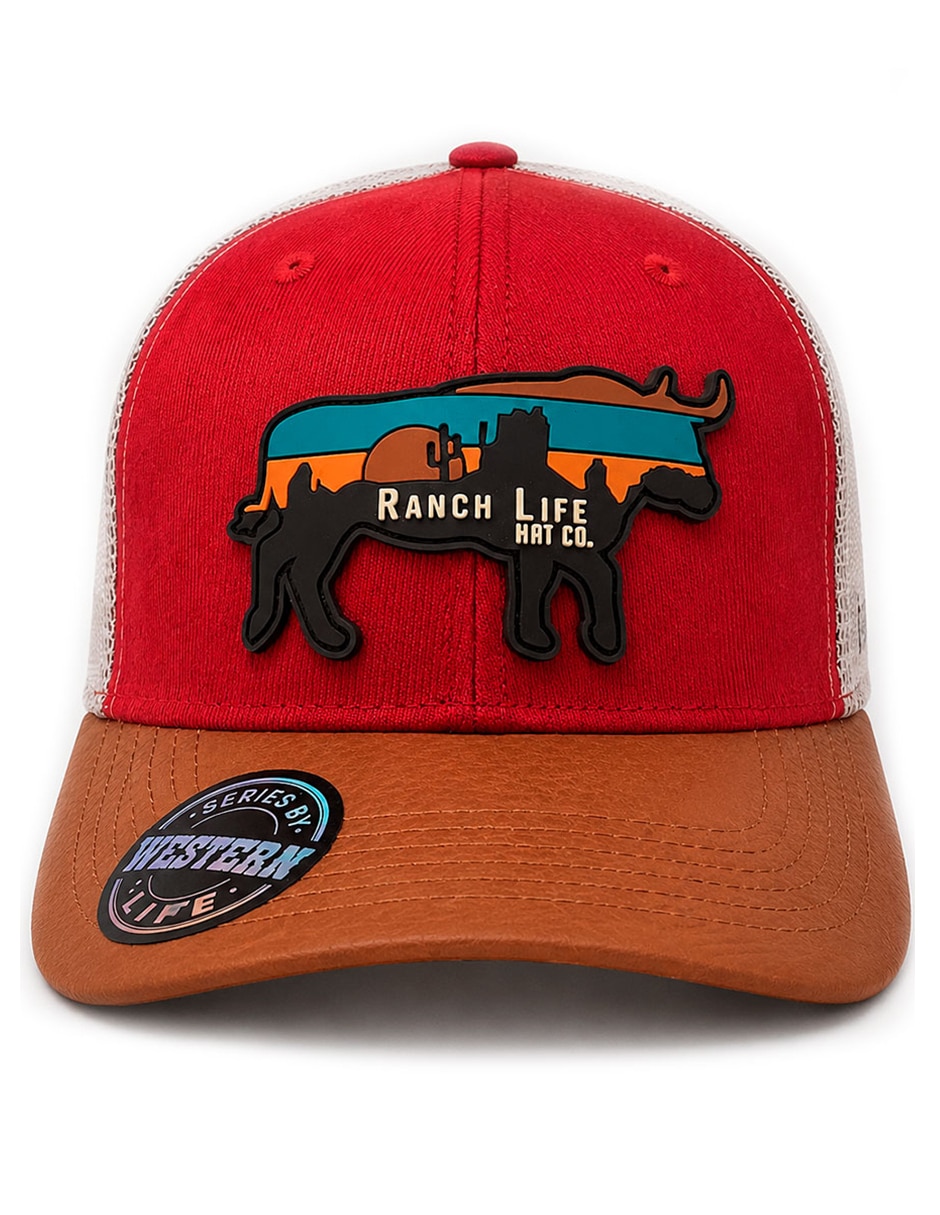 Gorra visera curva snapback casual para hombre 5