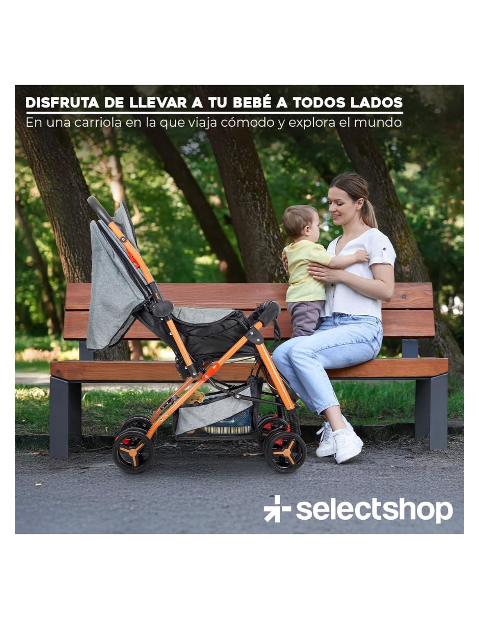 Carriola estándar plegable 6