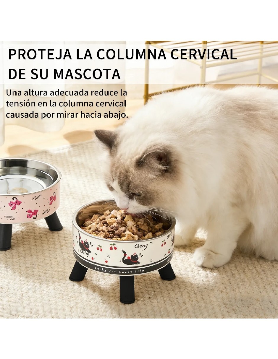 Plato para perro y gato 400 ml 2