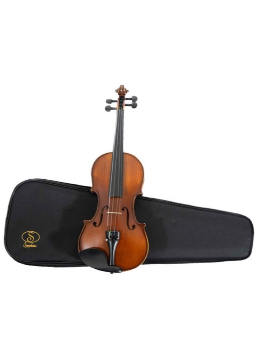 Violín acústico Vg99