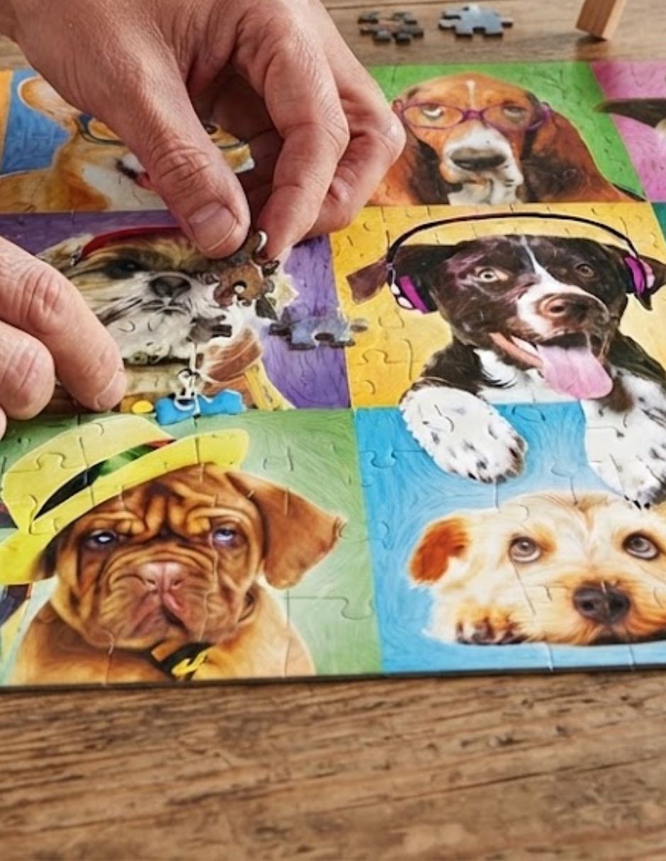 Rompecabezas Retrato de perros 300 piezas 3