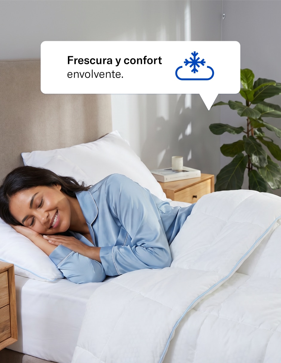 Relleno duvet 6