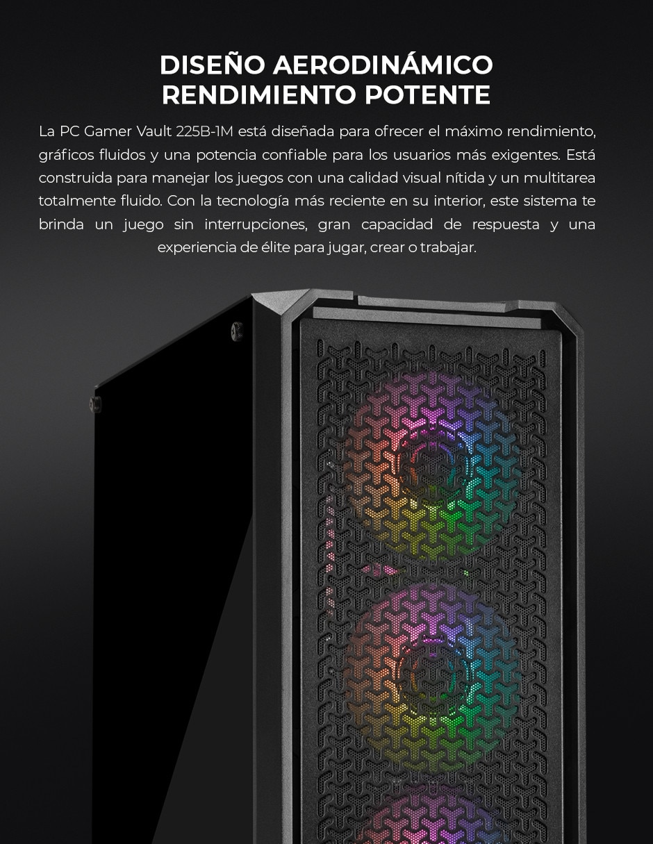 Computadora gamer Vault 225B-1M YPI-VA225B-1M Intel Core Ultra 5 225 Integradas 16 GB RAM 1 TB SSD