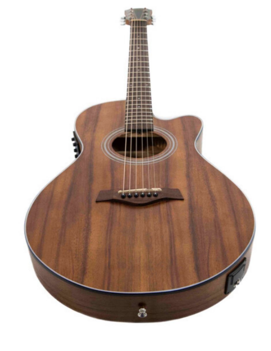 Guitarra Electroacústica Fet 2