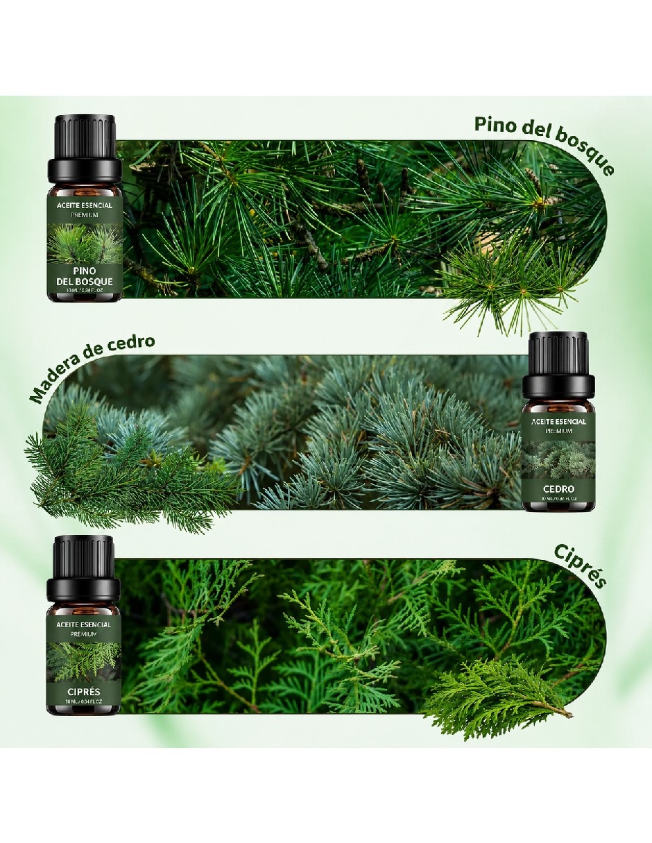 Set aceites de varios aromas