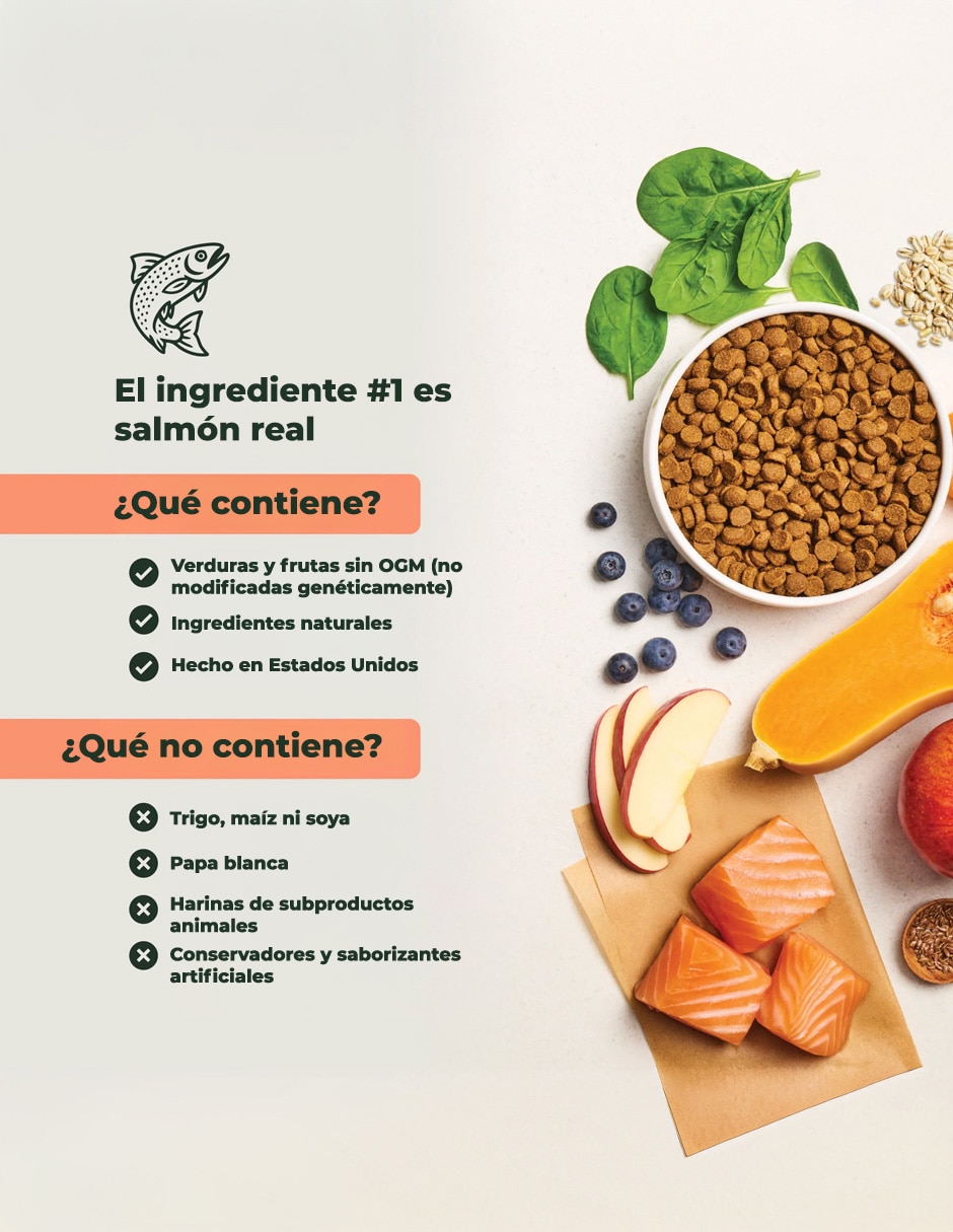 Croqueta de salmón para perro todas las etapas 2
