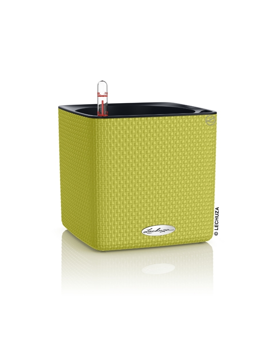 Verde 2