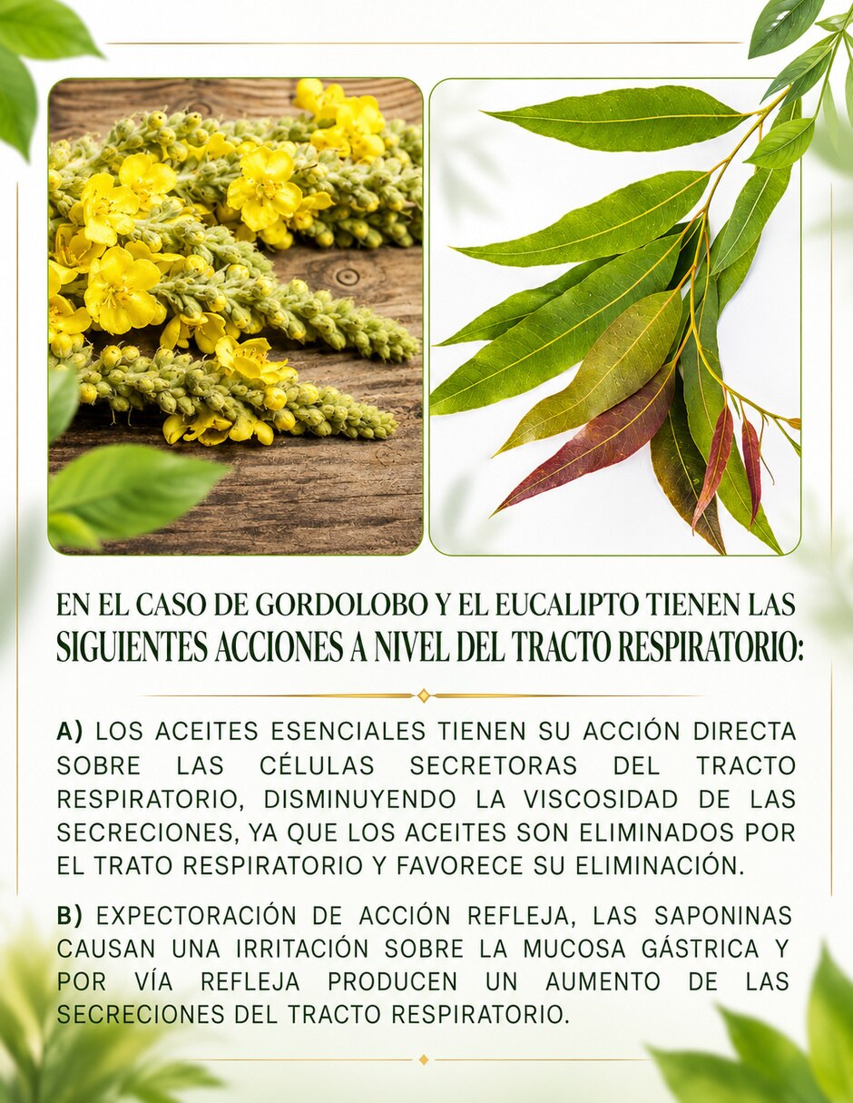 Pulmonare tónico pulmonar formula magistral con 20 billones de probióticos sabor clásico de 30 ml 6