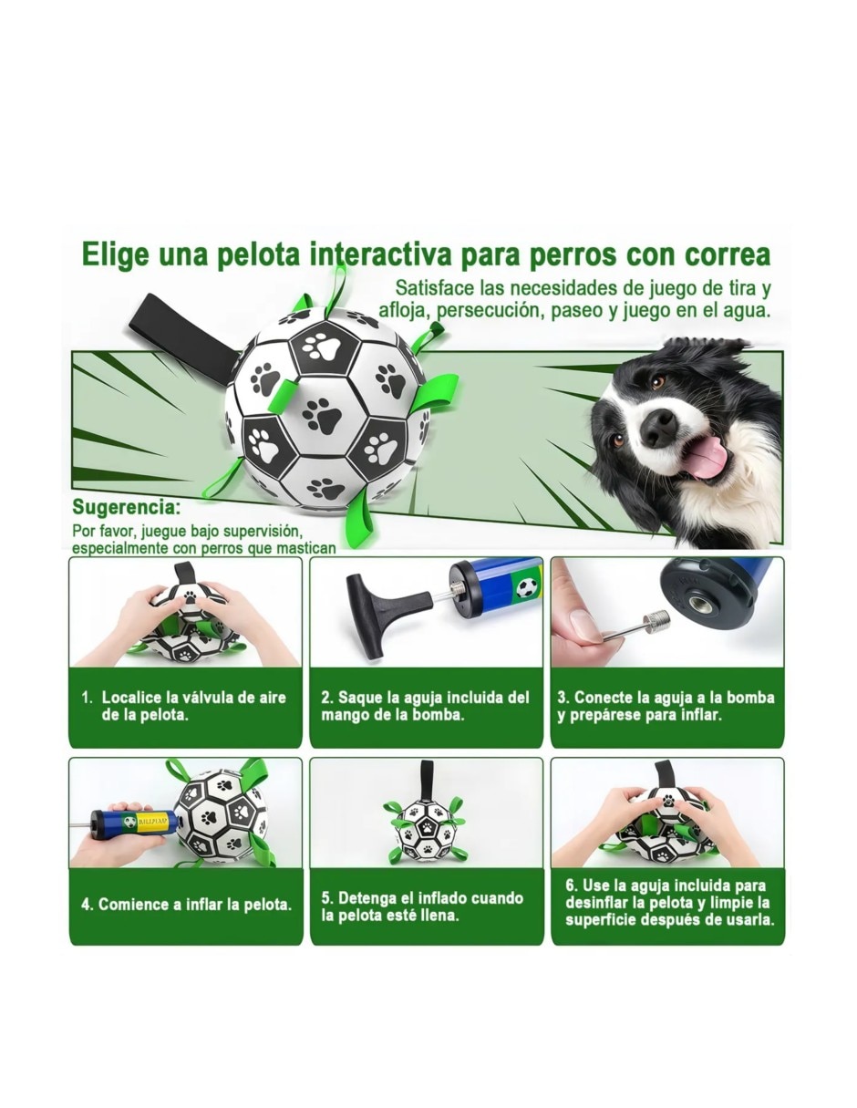 Pelota para perro fútbol 4
