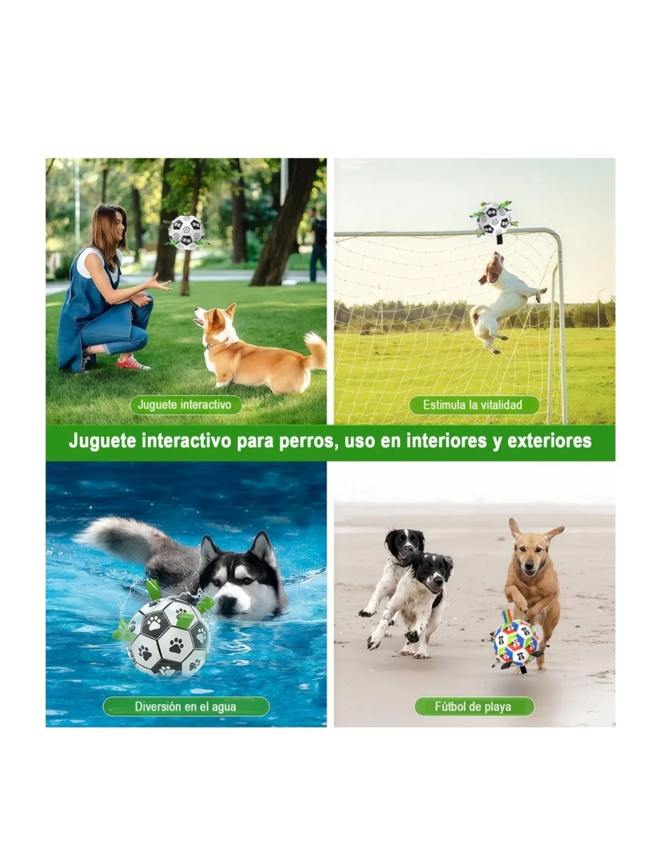 Pelota para perro fútbol 2