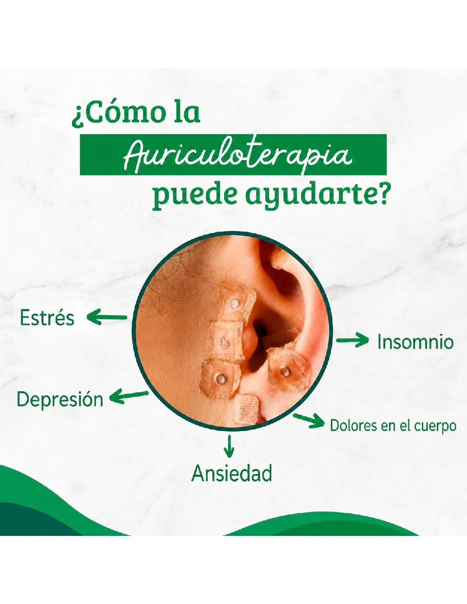 Aguja