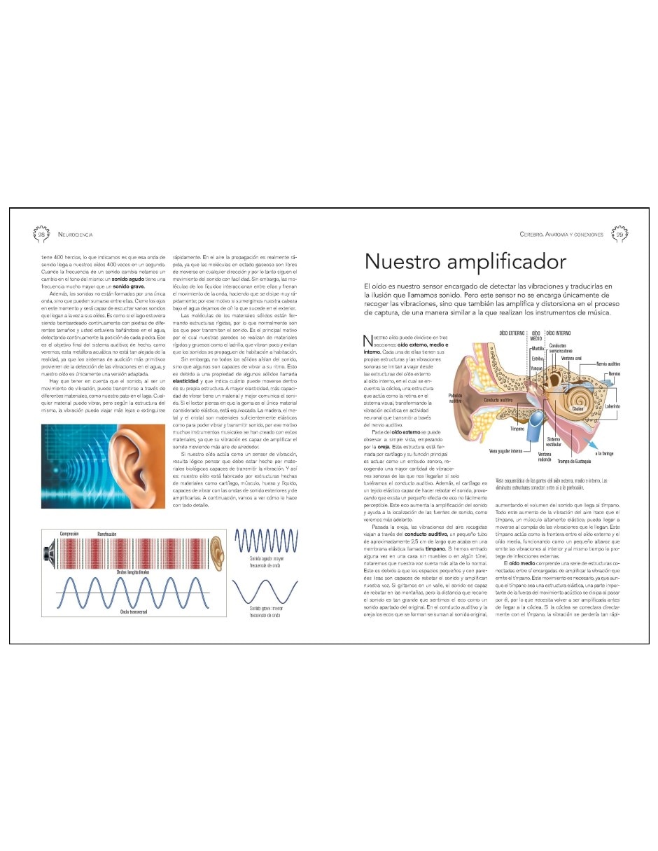 Libro Neurociencia Cerebro. Anatomía y Conexiones de Daniel Gómez Domínguez 9