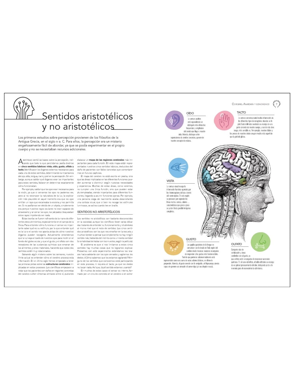 Libro Neurociencia Cerebro. Anatomía y Conexiones de Daniel Gómez Domínguez 4