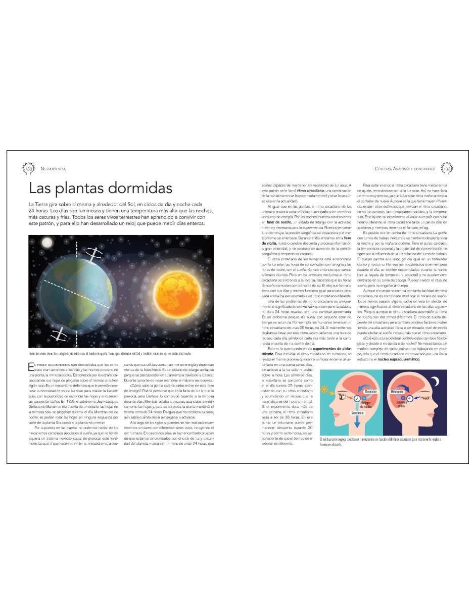 Libro Neurociencia Cerebro. Anatomía y Conexiones de Daniel Gómez Domínguez 6