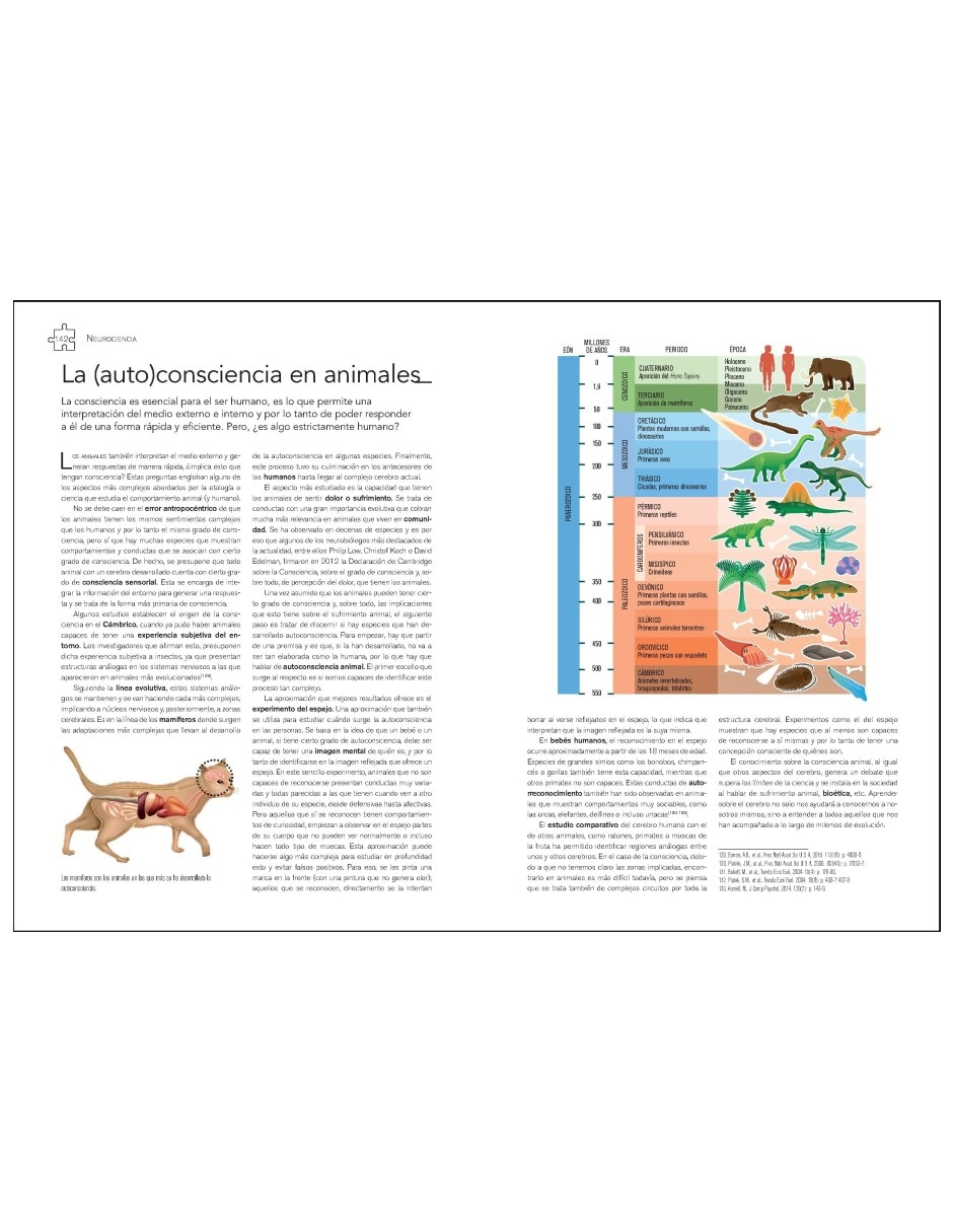 Libro Neurociencia Cerebro. Funciones Cognitivas De Javier Frontiñán Rubio 8