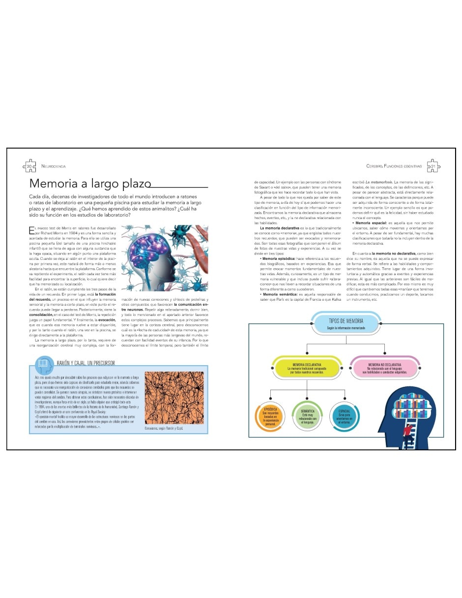 Libro Neurociencia Cerebro. Funciones Cognitivas De Javier Frontiñán Rubio 5