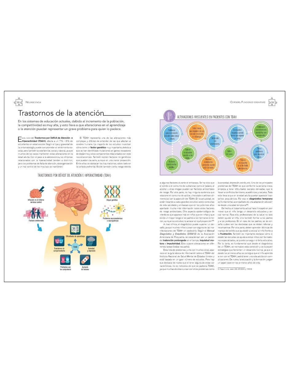 Libro Neurociencia Cerebro. Funciones Cognitivas De Javier Frontiñán Rubio 4
