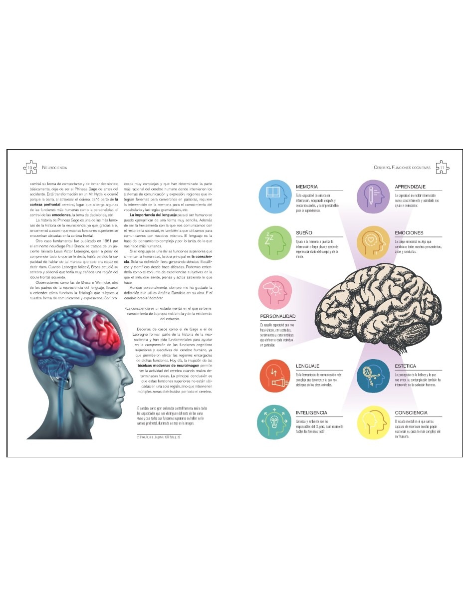 Libro Neurociencia Cerebro. Funciones Cognitivas De Javier Frontiñán Rubio 2