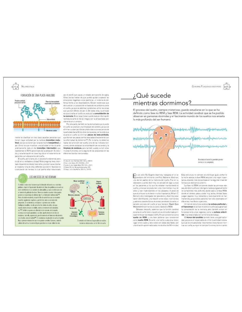 Libro Neurociencia Cerebro. Funciones Cognitivas De Javier Frontiñán Rubio 6