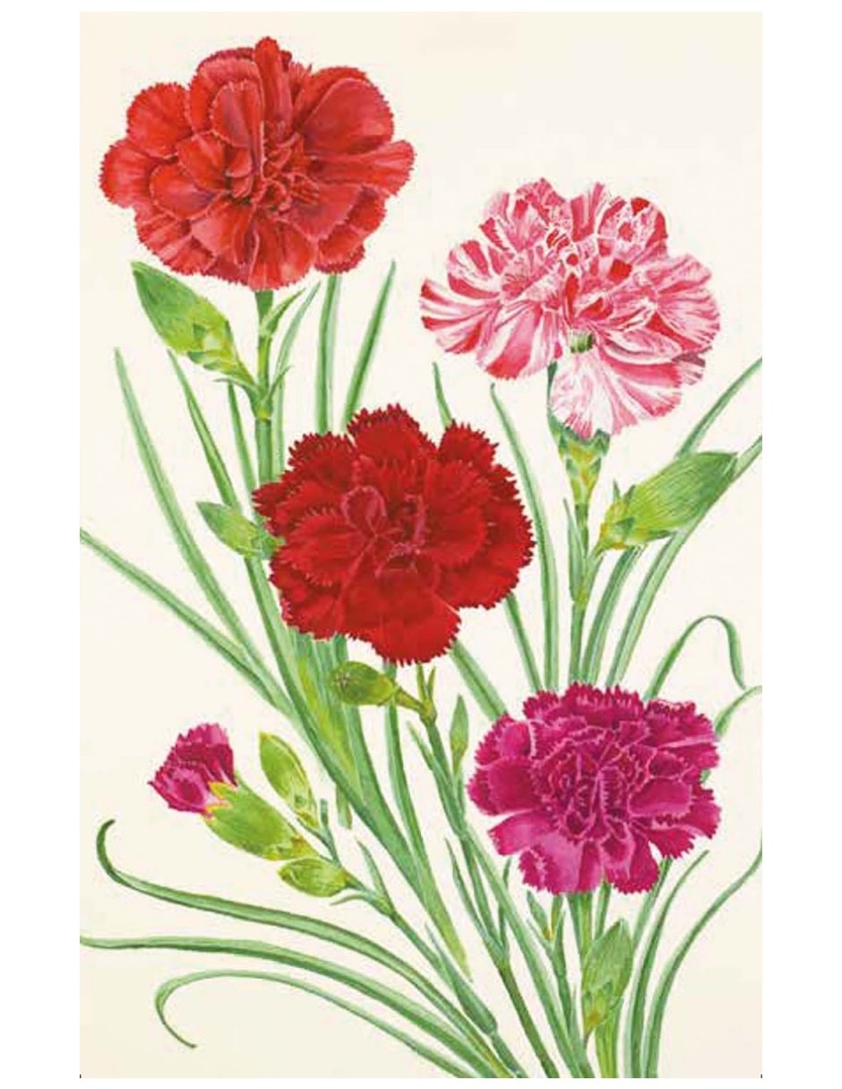 Libro 100 Flores - Baraja De 100 Cartas Con Motivos Florales De Royal Horticultural Society 4