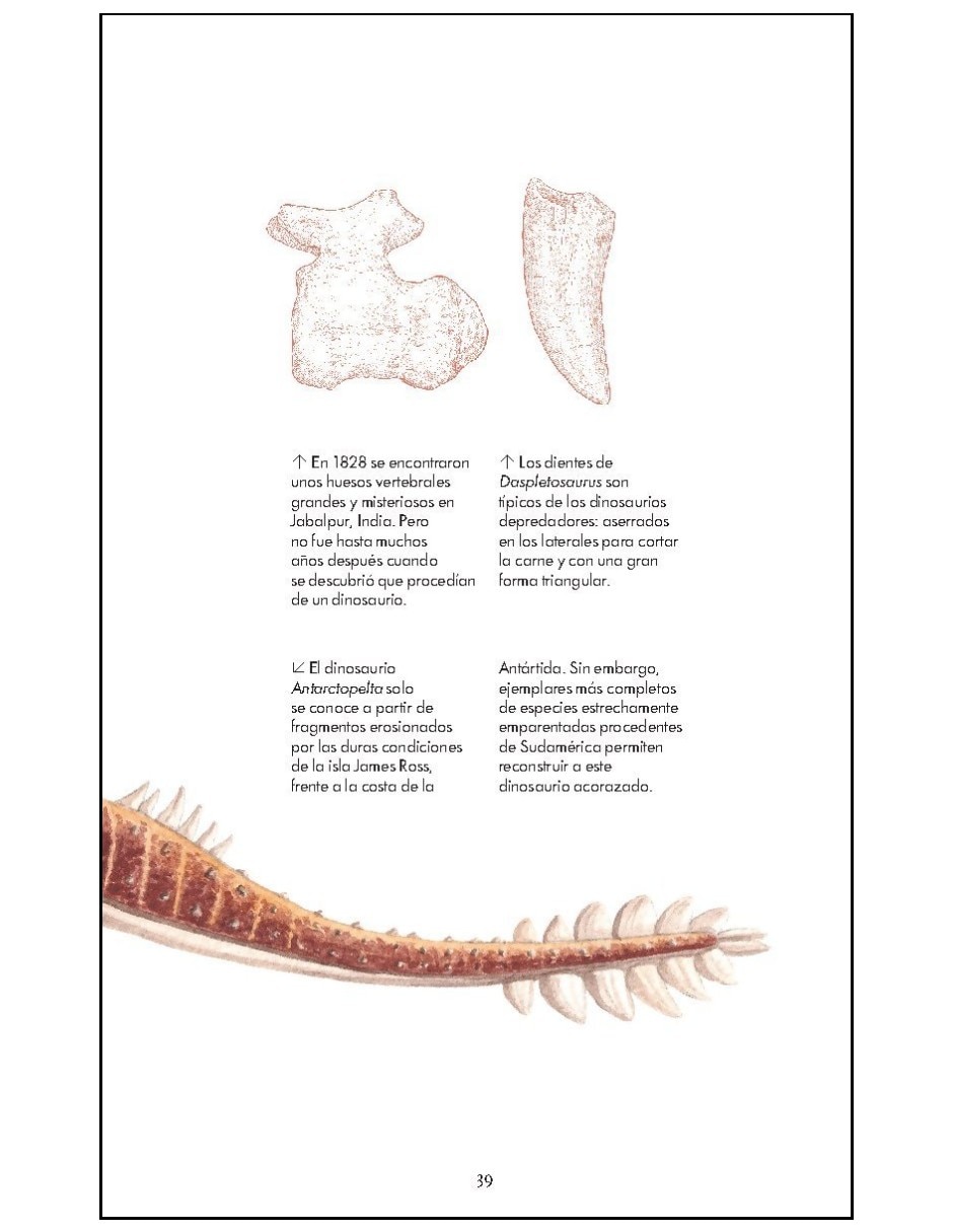Libro De La Naturaleza. Dinosaurios De Rhys Charles 3