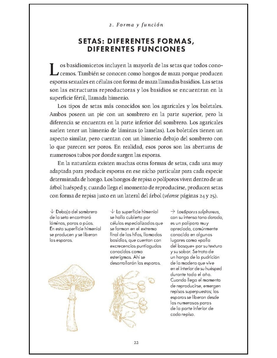 Libro De La Naturaleza. Hongos De Britt A. Bunyard 4