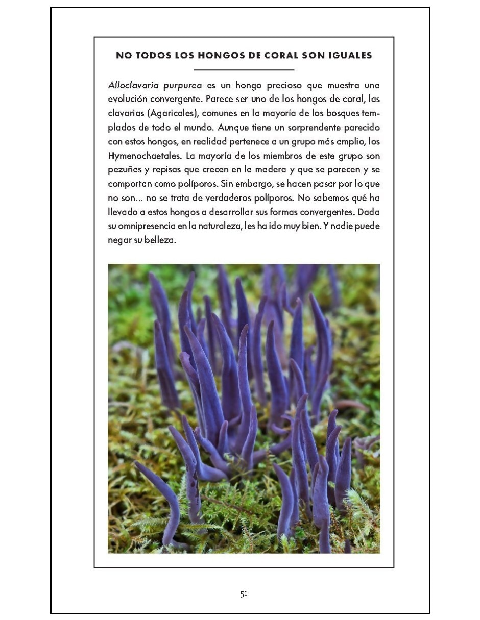 Libro De La Naturaleza. Hongos De Britt A. Bunyard 8