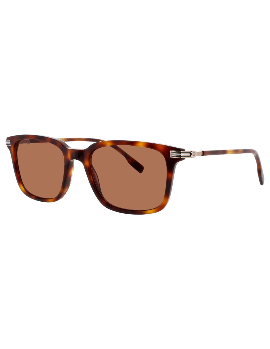 Lentes de sol 2