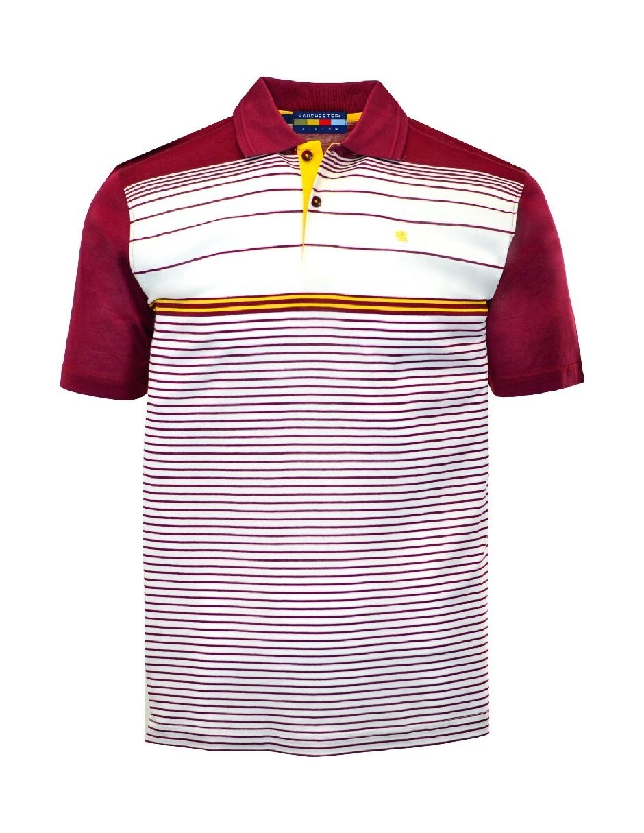 Playera tipo polo de algodón para niño 5