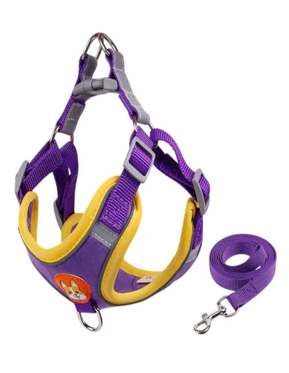 Pechera para perro