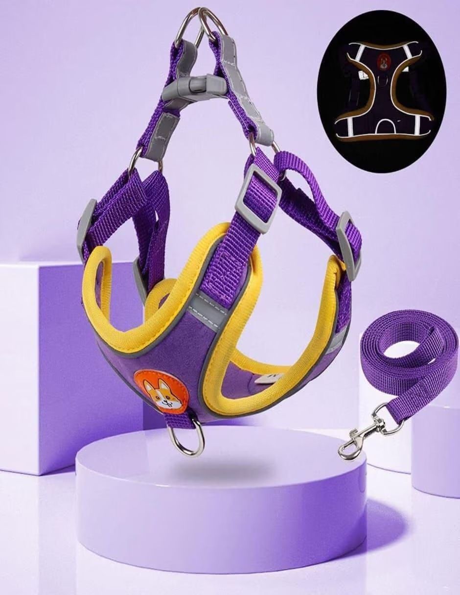 Pechera para perro