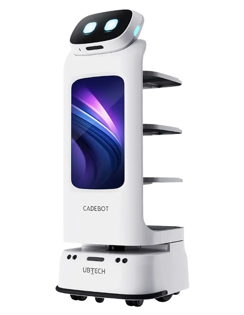 Robot de Cadebot L100