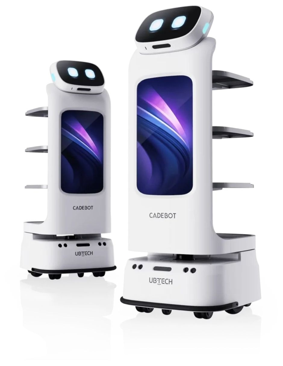 Robot de Cadebot L100