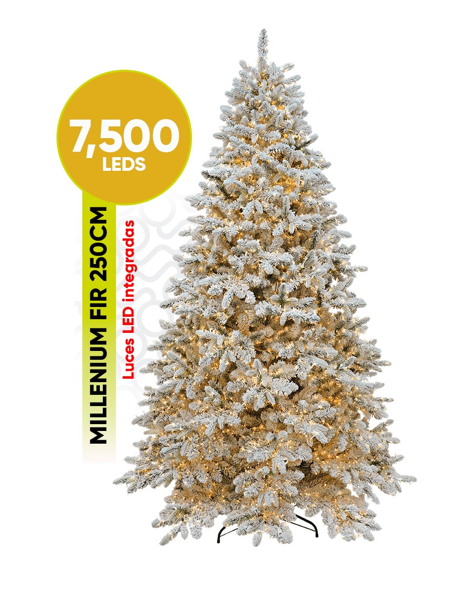 Árbol de navidad Millenium Fir
