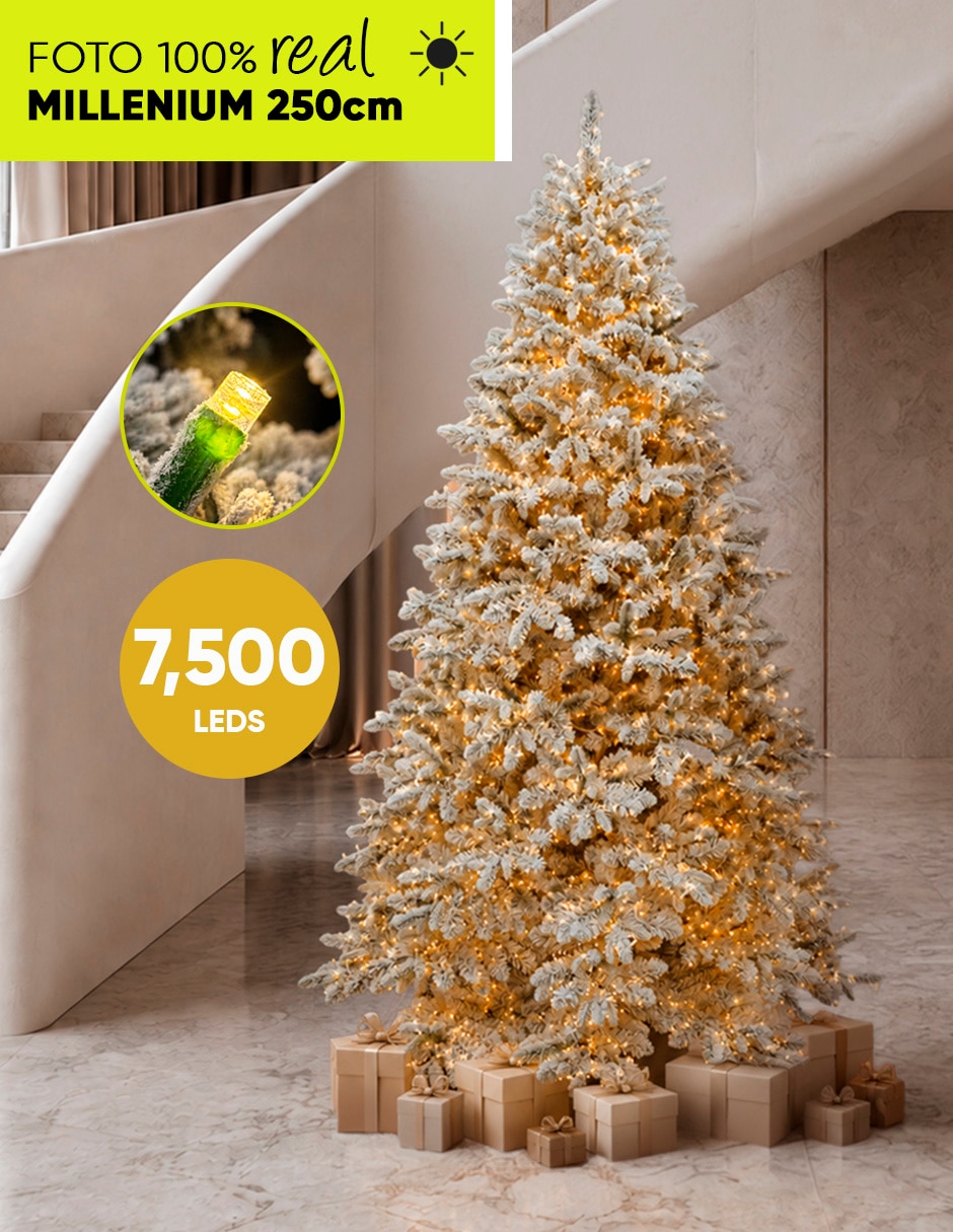 Árbol de navidad Millenium Fir 2