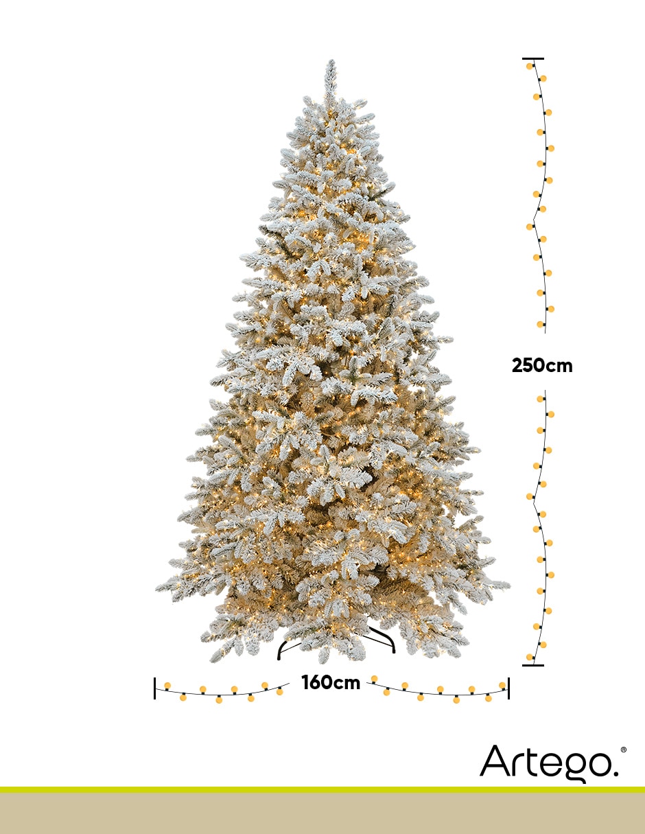 Árbol de navidad Millenium Fir 9