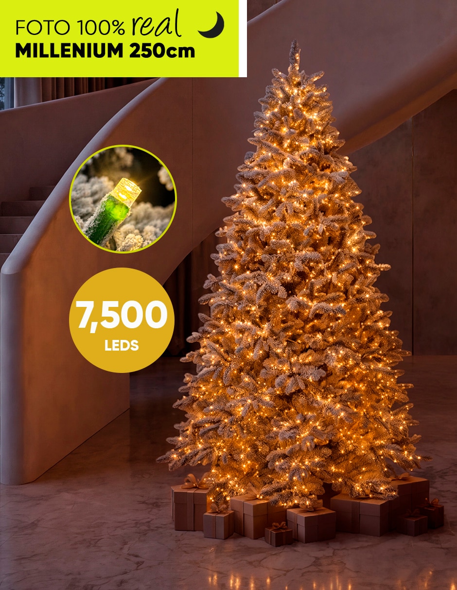 Árbol de navidad Millenium Fir 3