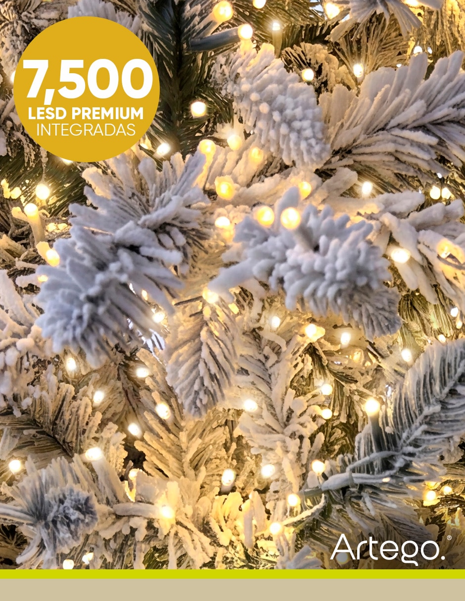 Árbol de navidad Millenium Fir 6