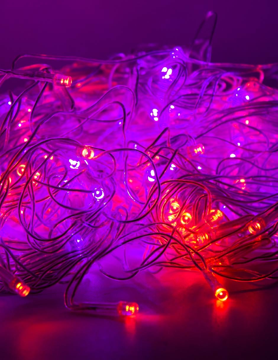 Serie red led familia l602636 con 320 focos 4