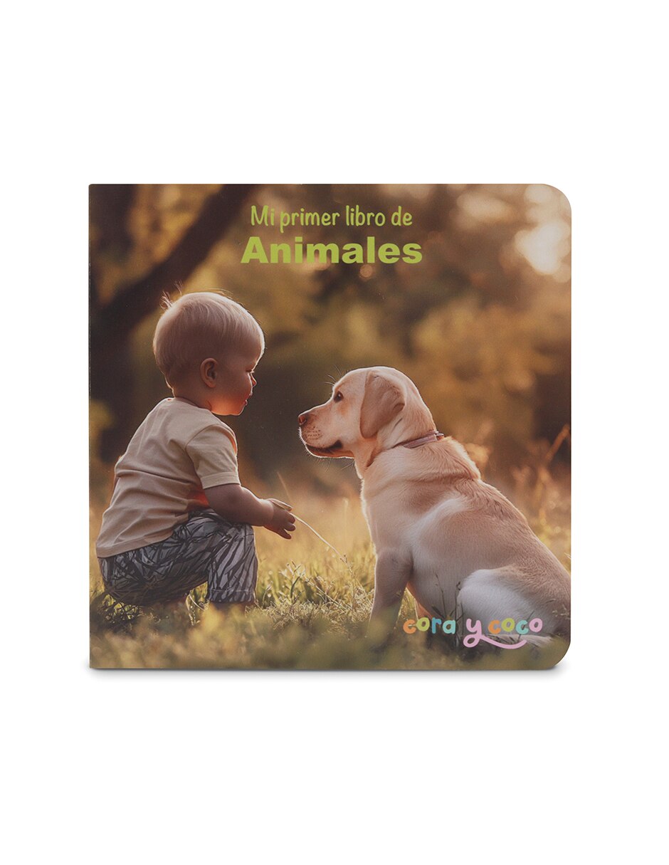 Kit de estimulación temprana 9