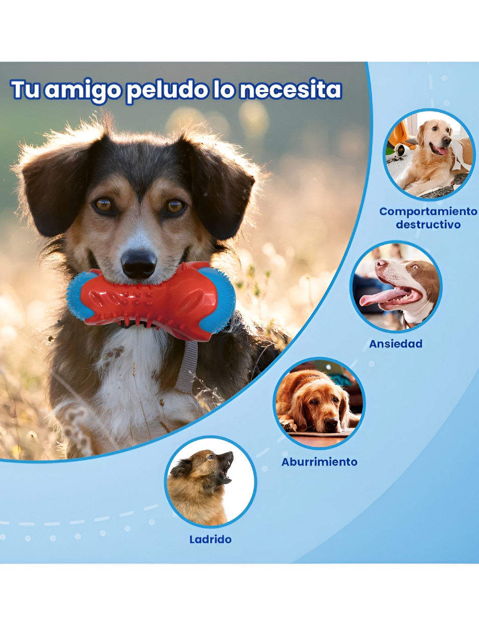 Juguete interactivo para perro 4