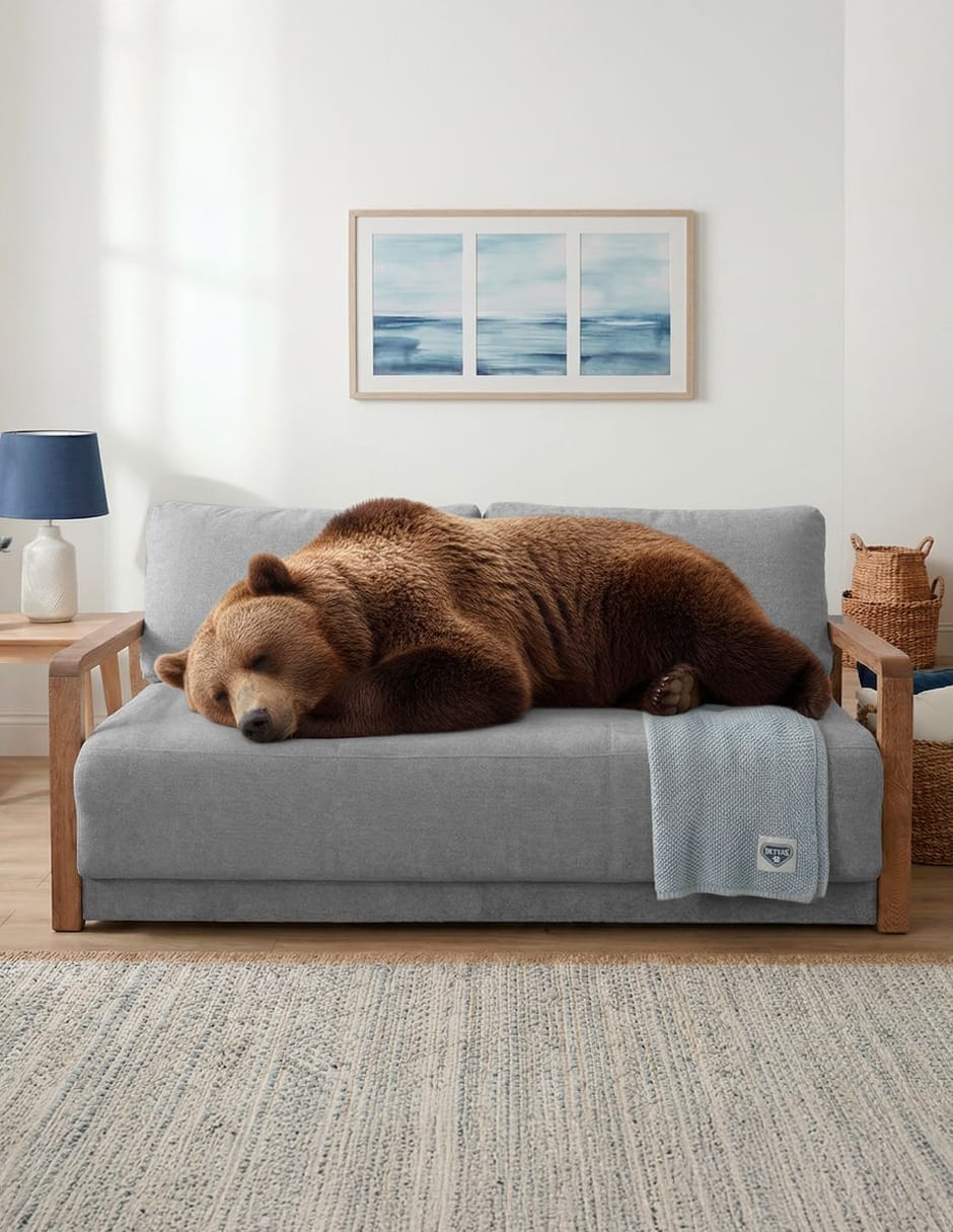 Sofá cama armable de madera pino 6
