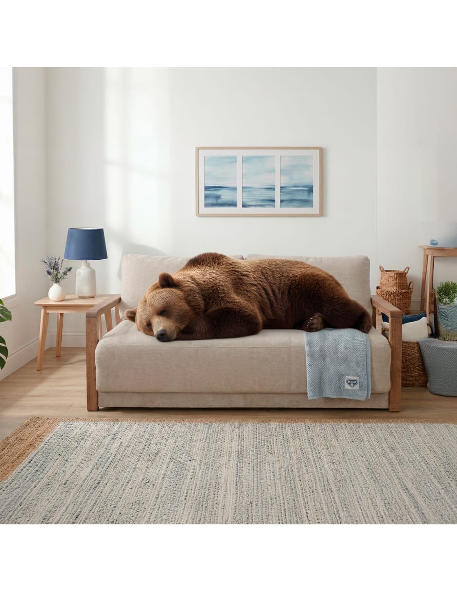 Sofá cama armable Sspring Air de madera pino 3