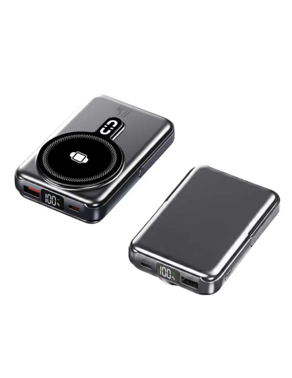 Cargador de control PS Análoga 1250 W