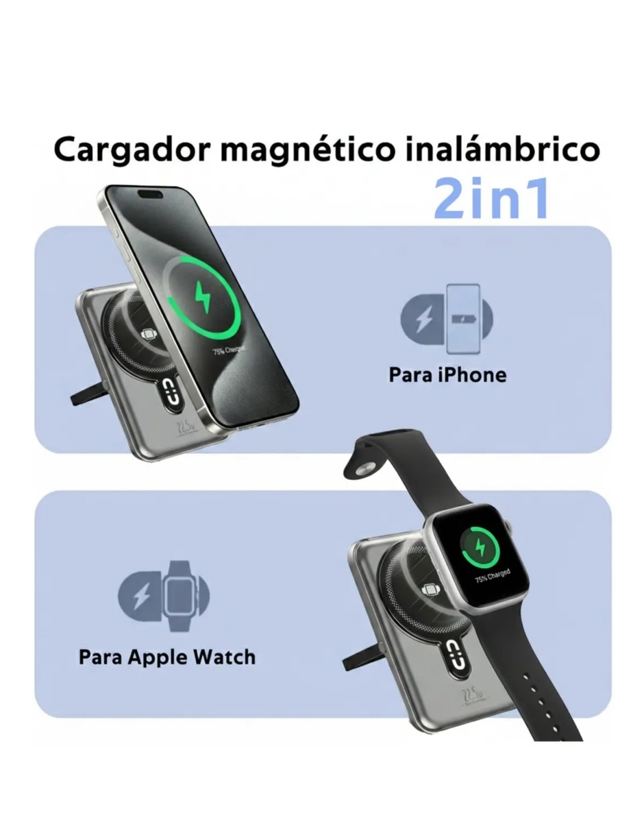 Cargador de control PS Análoga 1250 W 4