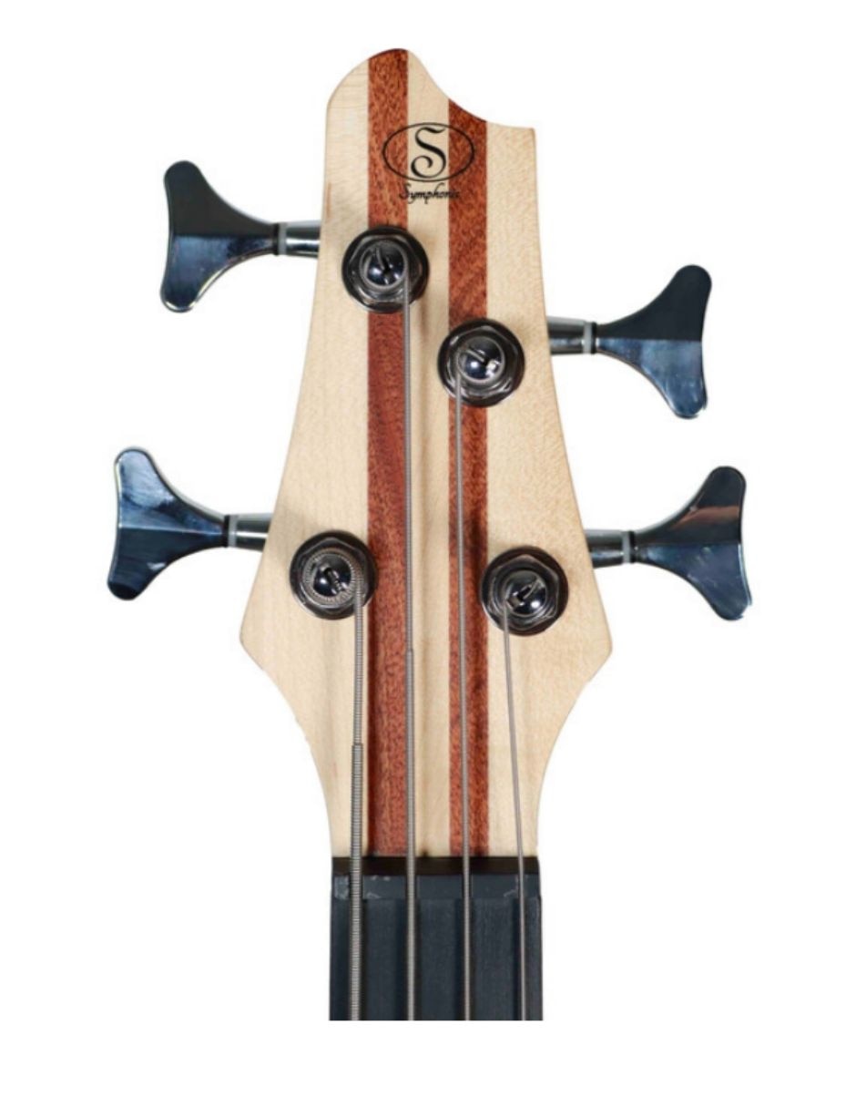 Bajo eléctrico 2