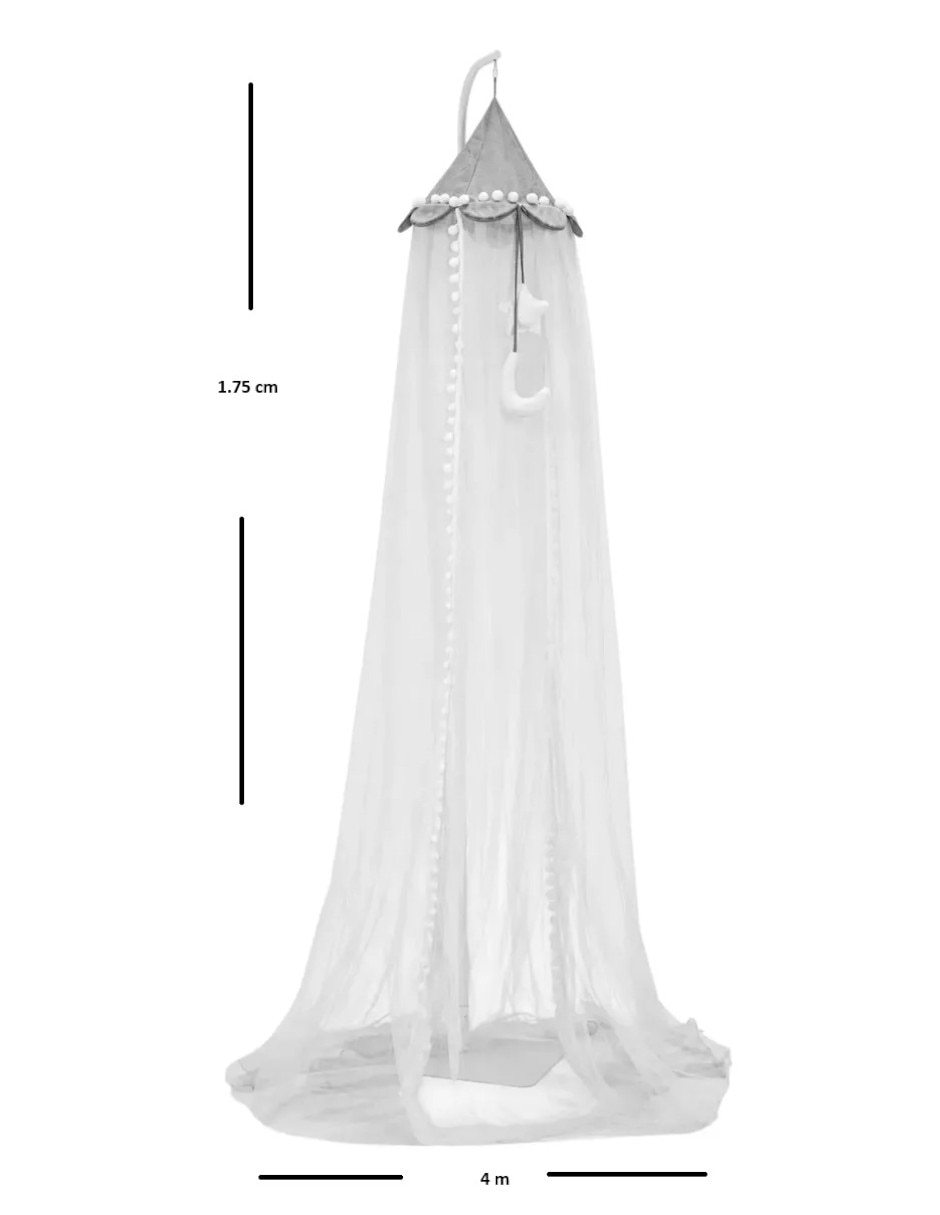 Mosquitero SIN FAMILIA O COLECCION 8