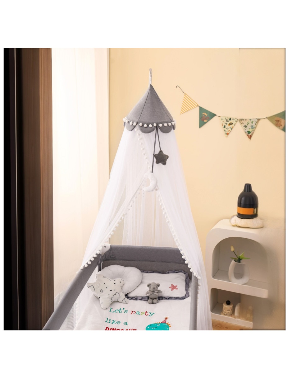 Mosquitero SIN FAMILIA O COLECCION